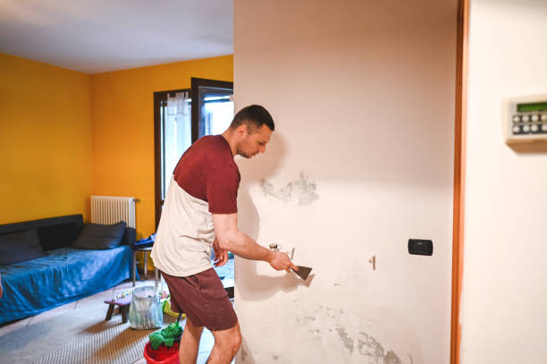 Best Toxic Mold Removal  in East Sonora, CA