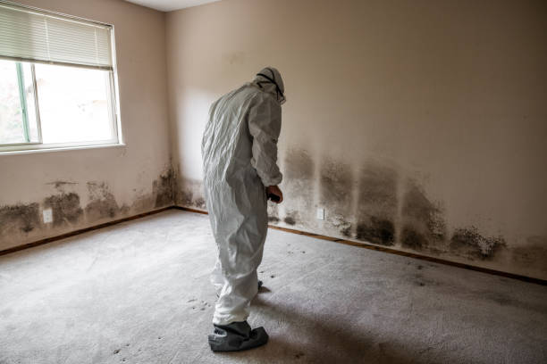 Best Residential Mold Removal  in East Sonora, CA